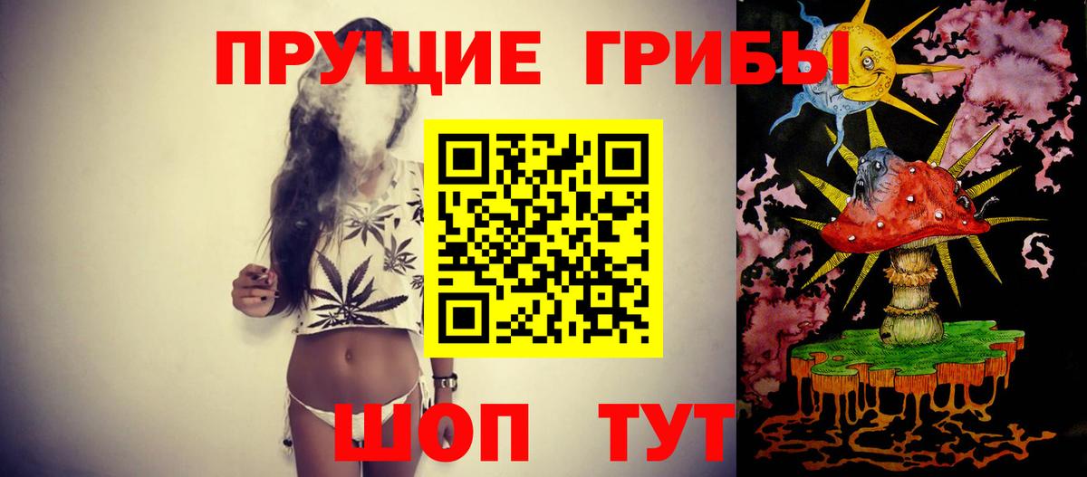 Владикавказ  Псилоцибиновые грибы Cubensis  Вход с VPN 