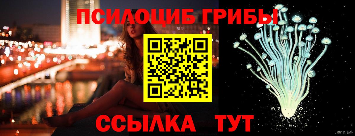 Псилоцибиновые грибы мицелий Владикавказ
